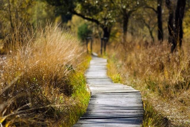 Chemin zen suivi consultation Lise dufoulon