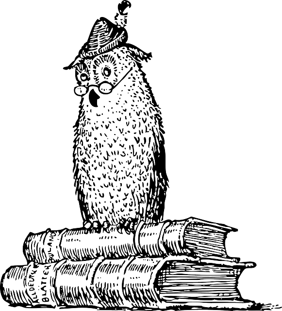 Hibou dessiné en noir et blanc sur des livres